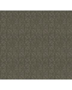 Shaw LIGHT IMPRESSIONS Rerooted Nature Carpet - SH-5E584-00300