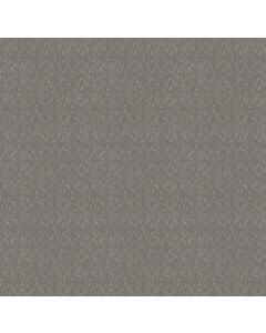 Shaw LIGHT IMPRESSIONS Vintage Carpet - SH-5E584-00509