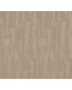Shaw Tranquil Spirit Worn Path Carpet - SH-5E585-00700