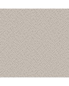 Shaw FAVOURED PATH Almond Silk Carpet - SH-5E586-00101