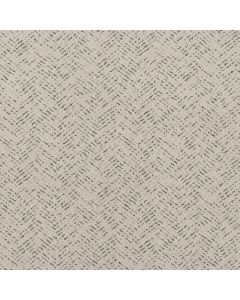 Shaw FAVOURED PATH Marble Carpet - SH-5E586-00103