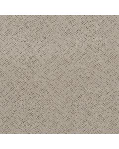 Shaw FAVOURED PATH River Birch Carpet - SH-5E586-00106