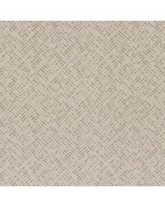 Shaw FAVOURED PATH Natural Carpet - SH-5E586-00109