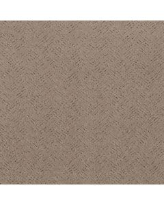 Shaw FAVOURED PATH Cameo Carpet - SH-5E586-00113