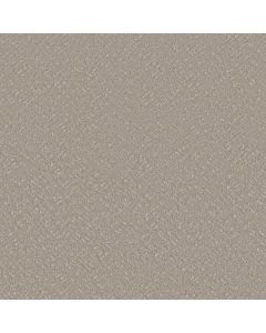 Shaw FAVOURED PATH Sculpture Carpet - SH-5E586-00115