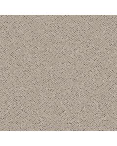Shaw FAVOURED PATH Warm Light Carpet - SH-5E586-00116
