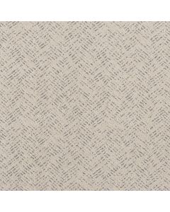 Shaw FAVOURED PATH Snowfall Carpet - SH-5E586-00150