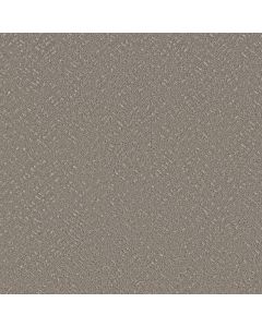 Shaw FAVOURED PATH Ashes Carpet - SH-5E586-00501
