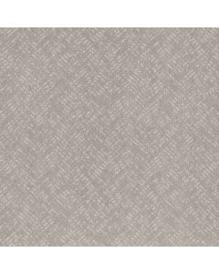 Shaw FAVOURED PATH Rock Crystal Carpet - SH-5E586-00508