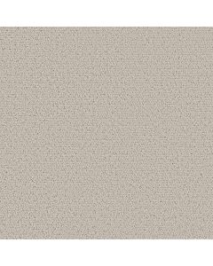 Shaw Intricate Trace Almond Silk Carpet - SH-5E587-00101
