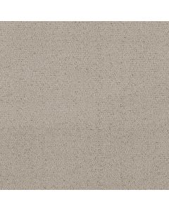 Shaw Intricate Trace River Birch Carpet - SH-5E587-00106