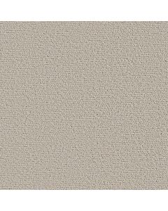 Shaw Intricate Trace Natural Carpet - SH-5E587-00109