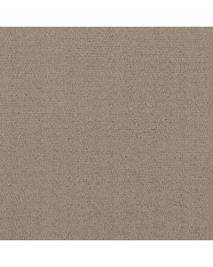 Shaw Intricate Trace Cameo Carpet - SH-5E587-00113