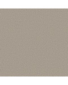 Shaw Intricate Trace Sculpture Carpet - SH-5E587-00115