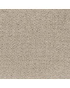 Shaw Intricate Trace Warm Light Carpet - SH-5E587-00116