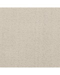 Shaw Intricate Trace Snowfall Carpet - SH-5E587-00150