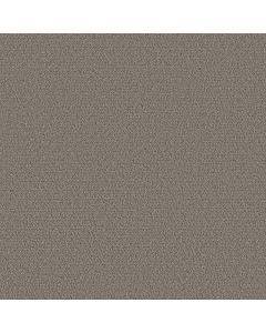 Shaw Intricate Trace Ashes Carpet - SH-5E587-00501