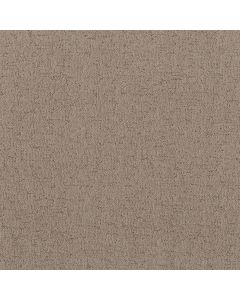 Shaw Run Free Cameo Carpet - SH-5E588-00113