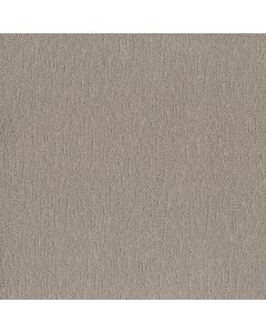 Shaw Run Free Sculpture Carpet - SH-5E588-00115