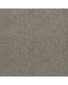 Shaw Run Free Ashes Carpet - SH-5E588-00501