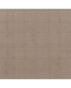 Shaw Natural Calm Cameo Carpet - SH-5E589-00113