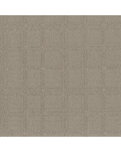 Shaw Natural Calm Sculpture Carpet - SH-5E589-00115