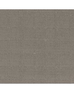 Shaw Natural Calm Ashes Carpet - SH-5E589-00501