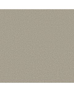 Shaw TRUSOLUTIONS II Bleached Oak Carpet - SH-5E648-00108