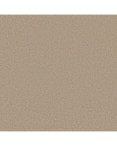 Shaw TRUSOLUTIONS II Sheer Natural Carpet - SH-5E648-00110