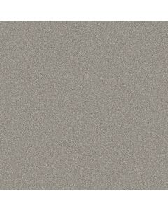 Shaw TRUSOLUTIONS II Concrete Carpet - SH-5E648-00504