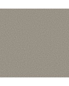 Shaw TRUSOLUTIONS II Stone Path Carpet - SH-5E648-00505