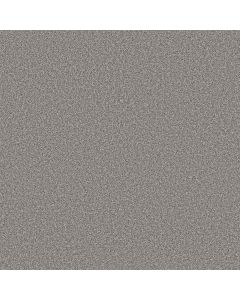 Shaw TRUSOLUTIONS II Storm Cloud Carpet - SH-5E648-00506