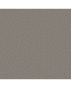 Shaw TRUSOLUTIONS II Tree Bark Carpet - SH-5E648-00507