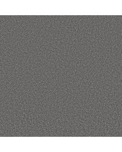 Shaw TRUSOLUTIONS II Mercury Carpet - SH-5E648-00508