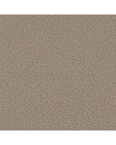 Shaw TRUSOLUTIONS II Beach Cabana Carpet - SH-5E648-00704