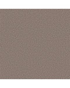 Shaw TRUSOLUTIONS II Taupe Dream Carpet - SH-5E648-00705