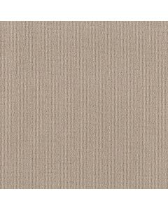 Shaw FEISTY Bermuda Sand Carpet - SH-5E652-00117