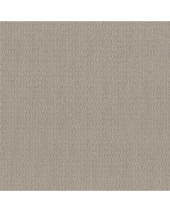 Shaw FEISTY Birch Carpet - SH-5E652-00118