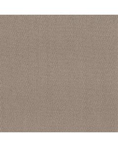 Shaw FEISTY Smooth Taupe Carpet - SH-5E652-00119