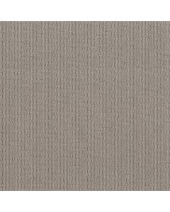 Shaw FEISTY Aircraft Carpet - SH-5E652-00515