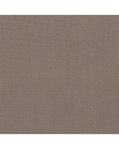 Shaw FEISTY Branch Carpet - SH-5E652-00710
