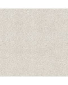 Shaw TONAL COMFORT I Clean Linen Carpet - SH-5E656-00122