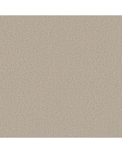 Shaw TONAL COMFORT I Homemade Ice Cream Carpet - SH-5E656-00124