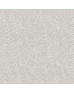 Shaw TONAL COMFORT I Gallery Opening Carpet - SH-5E656-00125