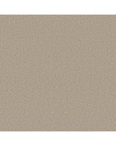 Shaw TONAL COMFORT I Sand Castle Carpet - SH-5E656-00127
