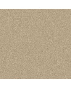 Shaw TONAL COMFORT II Sun Kissed Carpet - SH-5E657-00110