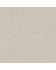 Shaw TONAL COMFORT II Warm Blanket Carpet - SH-5E657-00114