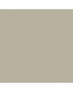Shaw TONAL COMFORT II Homemade Ice Cream Carpet - SH-5E657-00124