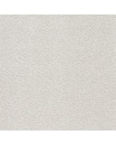 Shaw TONAL COMFORT II Gallery Opening Carpet - SH-5E657-00125