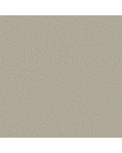 Shaw TONAL COMFORT II Need A Hug Carpet - SH-5E657-00129